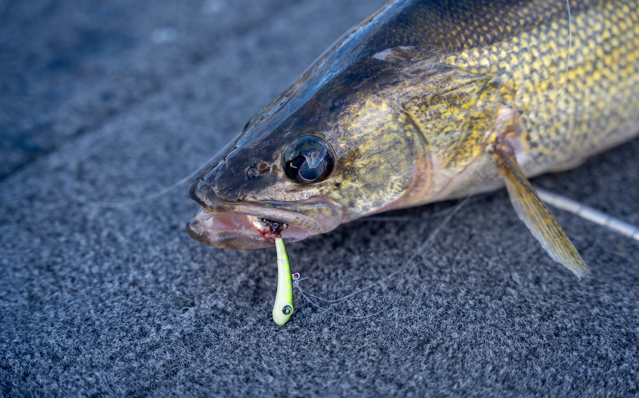 walleye fishing jigs, walleye fishing jigs Suppliers and Manufacturers at